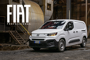 Fiat logo